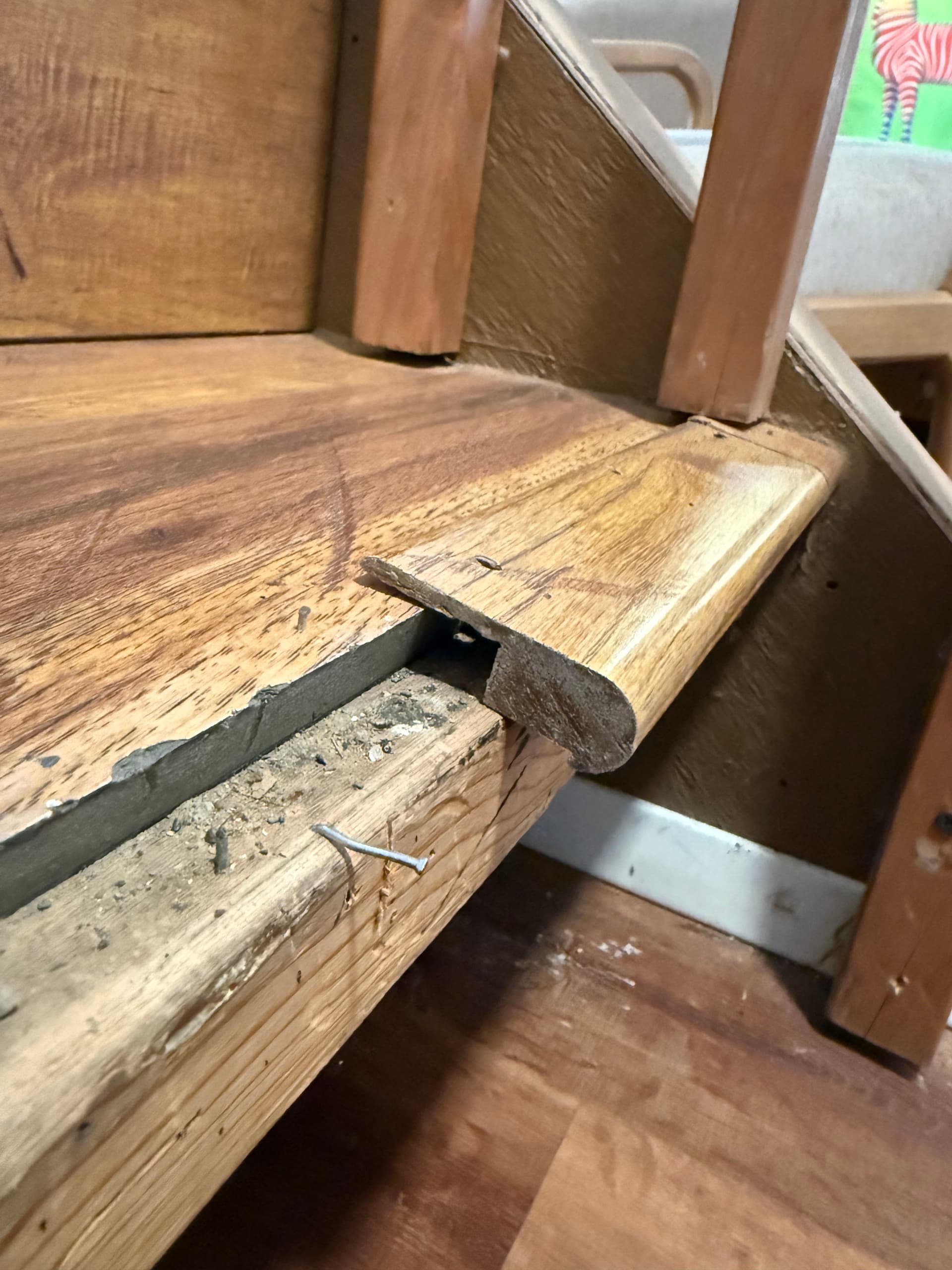 Gallery photos for Quick LVP Stair Repair for Rental Unit: Image #1