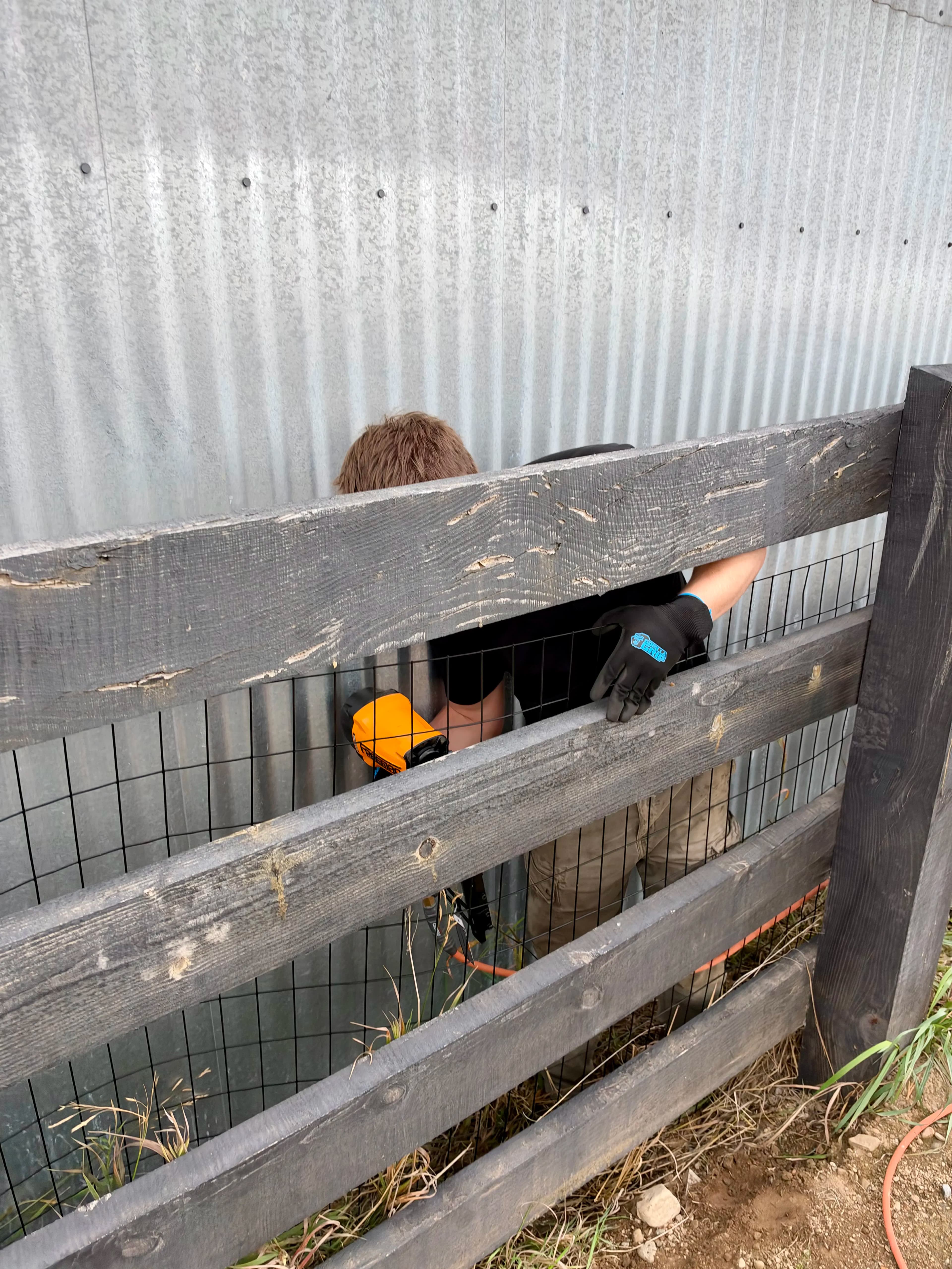 Project Dog-Proofing a Fence the Right Way image