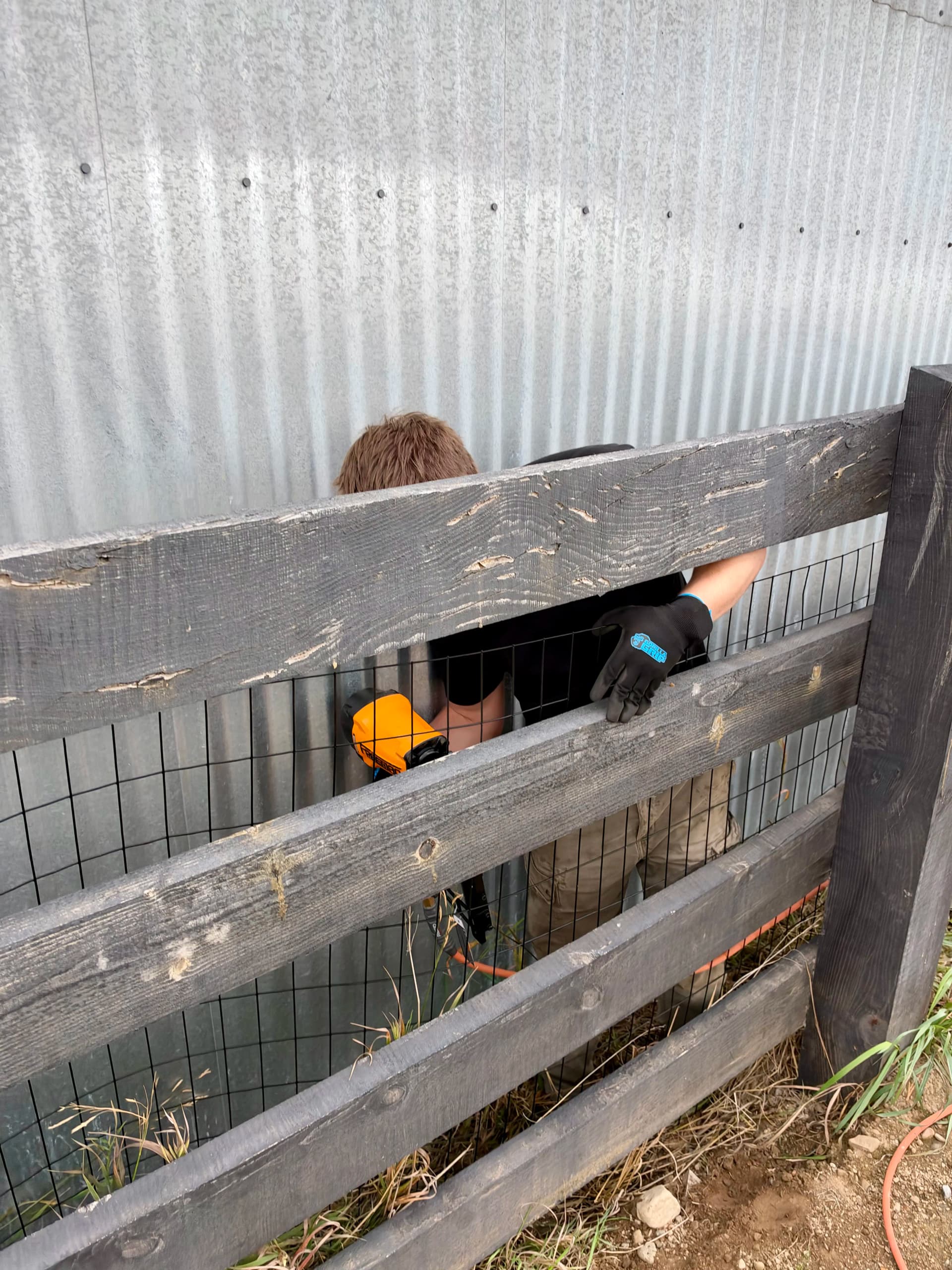 Dog-Proofing a Fence the Right Way image